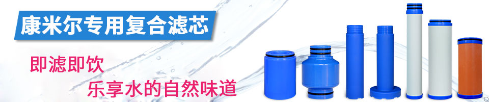 戶外凈水器 凈水壺濾芯